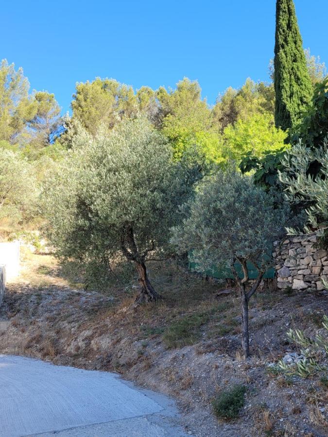 L'Oustau De Laetitia Animaux Bienvenus Villa Fontaine-de-Vaucluse Eksteriør bilde
